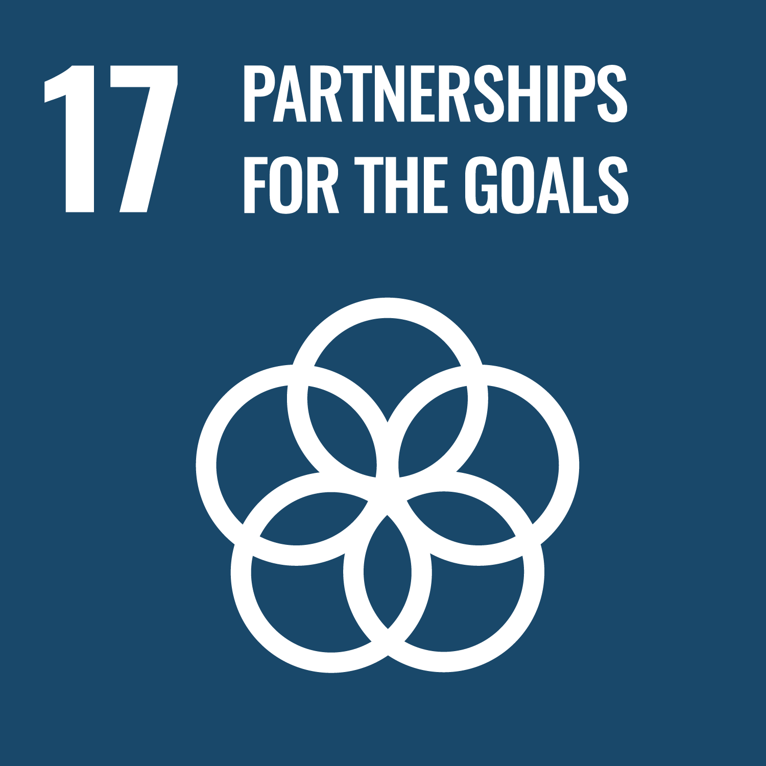SDG Goal SDG 17